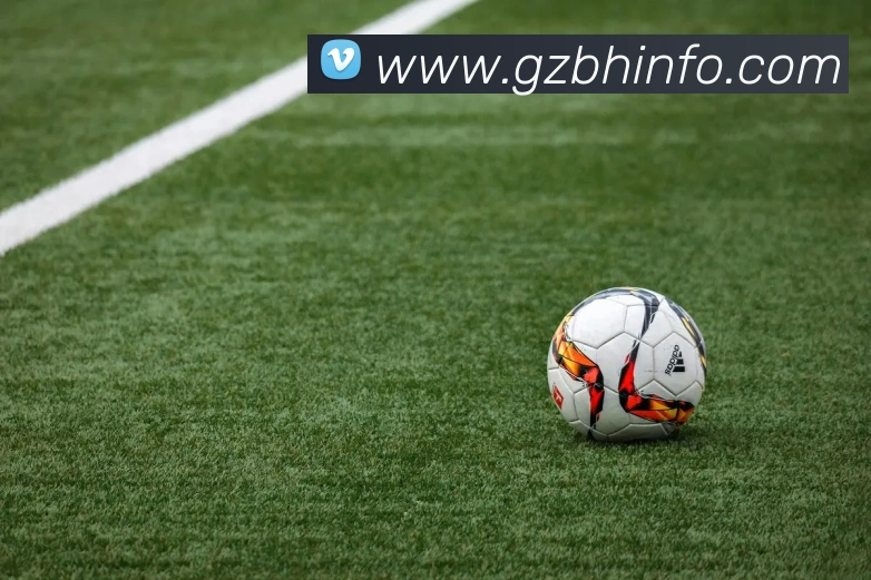 未来规划